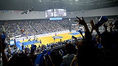 AREnA GUIDE