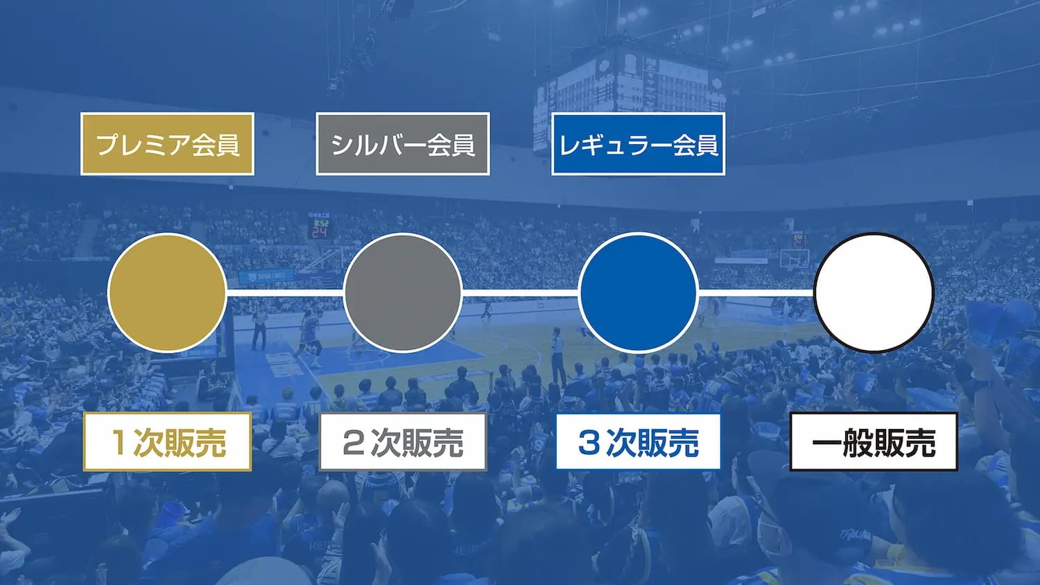 販売スケジュール